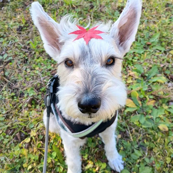 D383faea feb5 45e1 9225 ac951996ac26 1763383213795