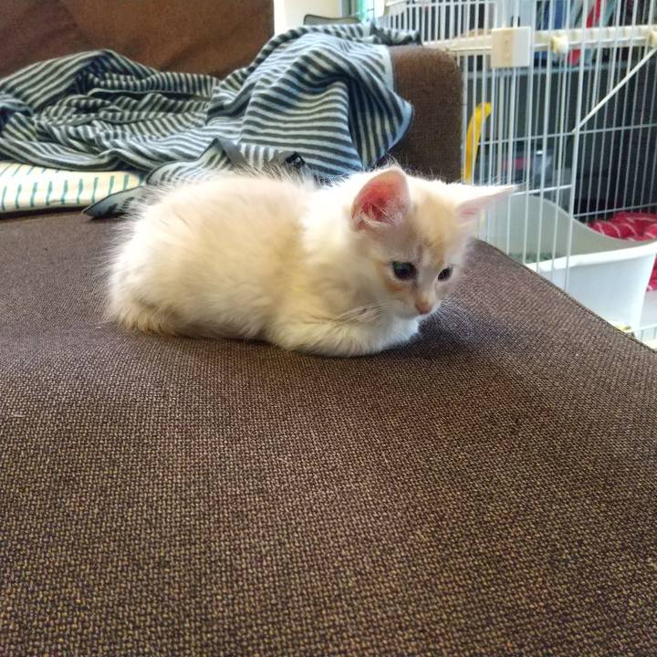 D3841fbd 82cc 40b4 8db9 ef901e034a21 1602801817086