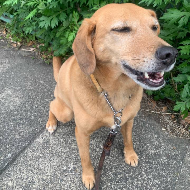 D3843cdd b0e7 4ba4 89ca 692c6ec20266 1619352825121