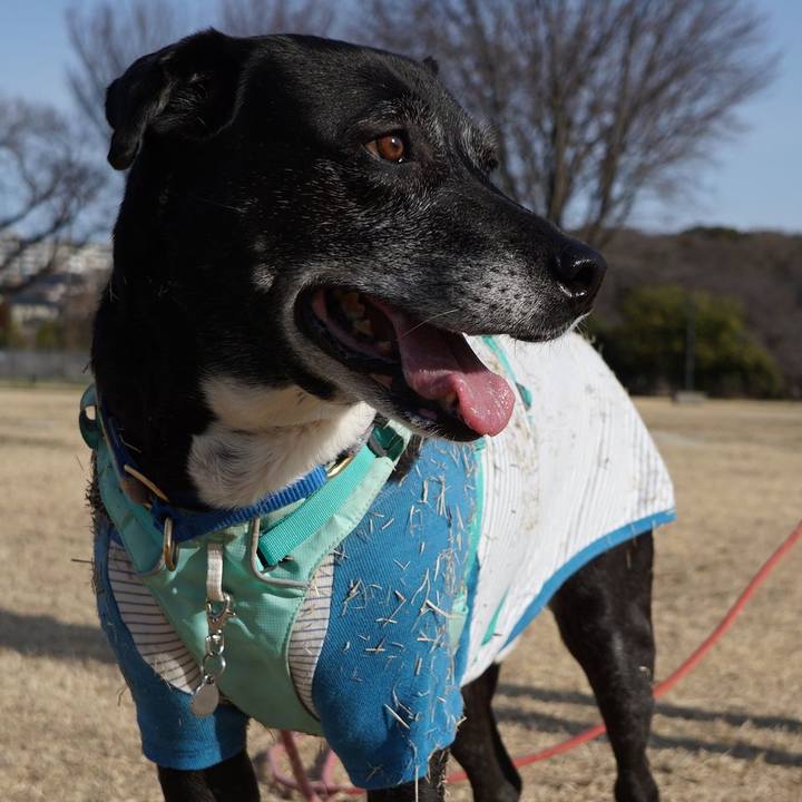 D3846227 22a6 45c7 967f 7a884fcfce3e 1772328103327