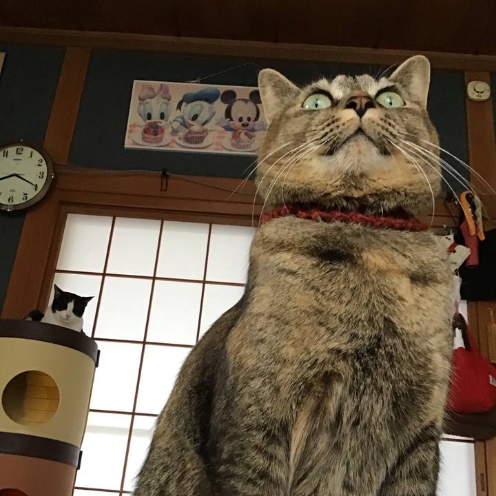 D3848c44 9e82 46cf 92e0 17b89c97f9c3 1638833052448