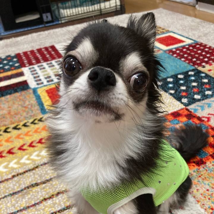 D384ddbe 68ef 4478 ae78 f6ae54ad432d 1694272160404