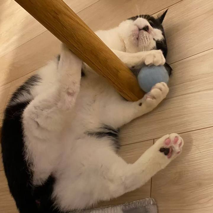 D3850c72 1192 47b2 a0c0 c838dd52ba5e 1715773713674