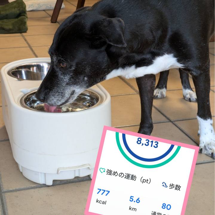 D3851c6f 65b3 419a 8900 6fb5d321ac2f 1761295515963