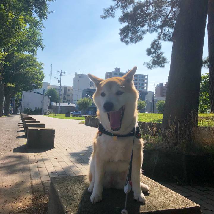 D385321a 463c 451c bc12 768acff07f6d 1597627216000