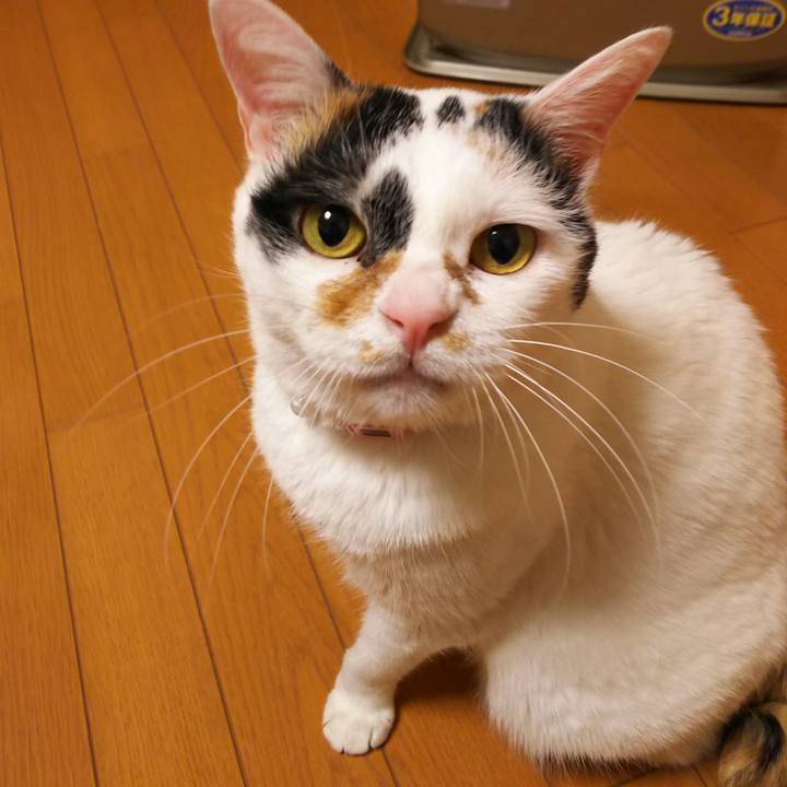 D3855597 39c9 42d0 af5b 528002916537 1551452771784