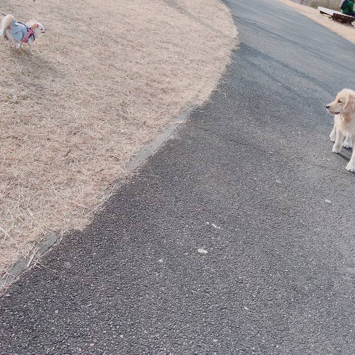 D3857f24 f4b6 41a1 8648 6a2ddda1a04b 1704611516251