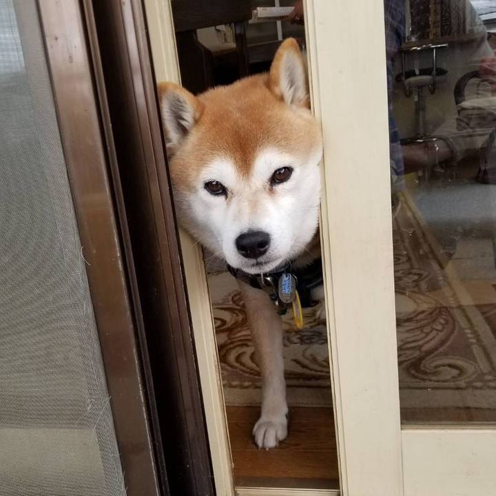 D3858f27 6338 45a2 8d4a 9e8b4008e3dc 1550143012091