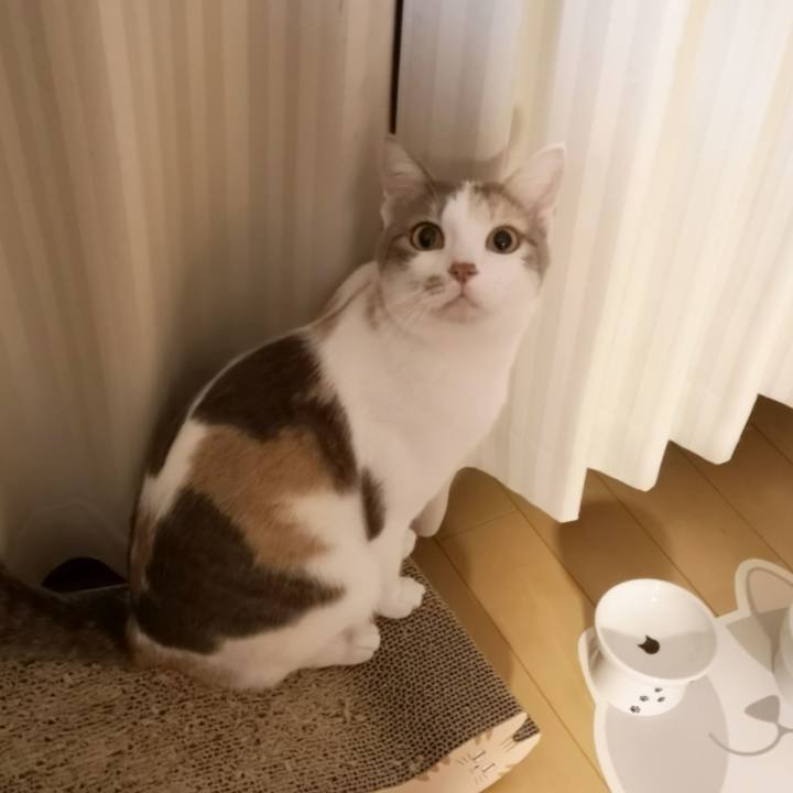 D3859315 8638 48fe a3a9 c7165766a32e 1576138890774