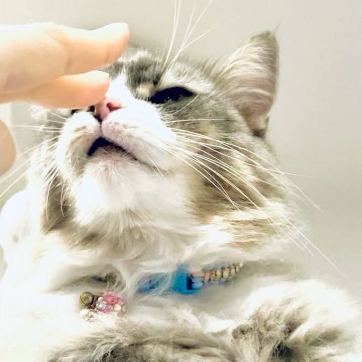 D385b935 152b 407d 9c0c 3df9545cff6d 1751124637130