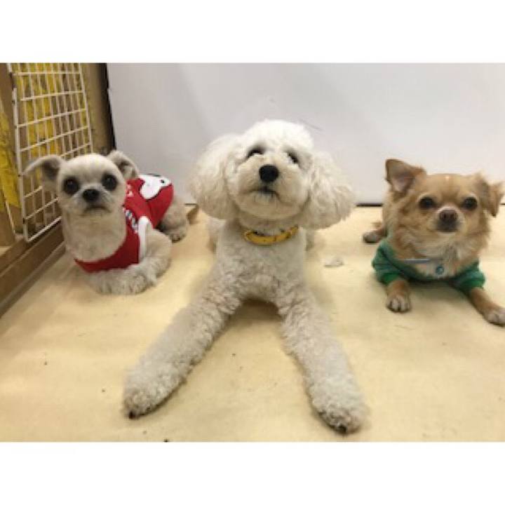 D385f24f f2c4 4d28 ae32 b3dab75a80d1 1550139596676