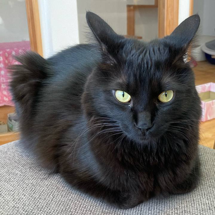 D385f988 d70a 4268 8a8a c38ab691676c 1733050626552