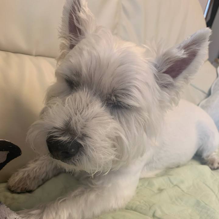 D3860144 cee5 4dd7 ae6f 6a261c2d2792 1633826685837