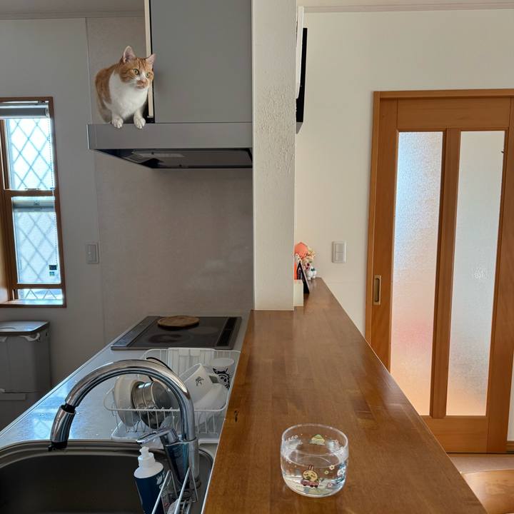 D3860454 feec 4d28 b1cd c6214387891c 1760227671849