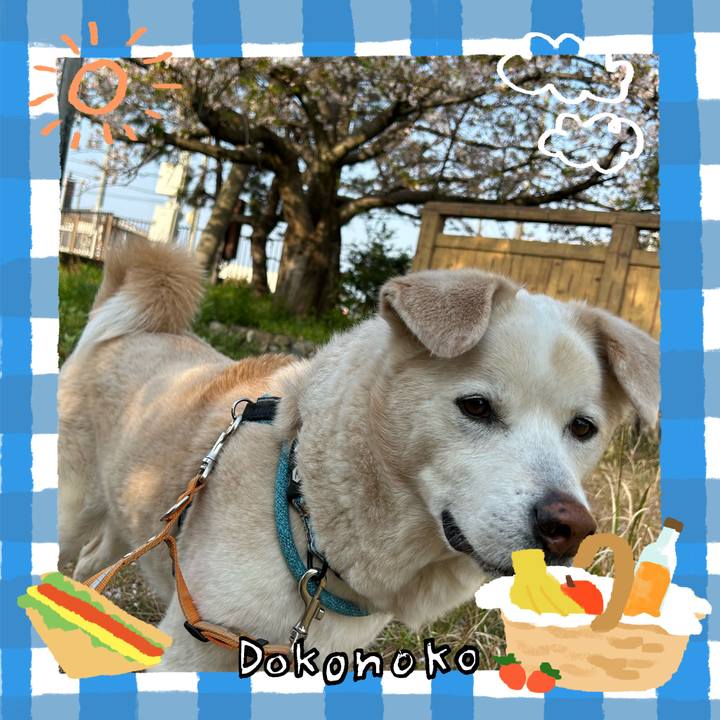 D3860a2b c050 4982 bb51 246ed7f74804 1744462763315