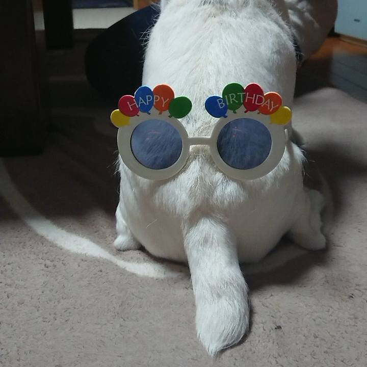 D386209d ed5e 4076 af5a e42ffab76596 1578835391214