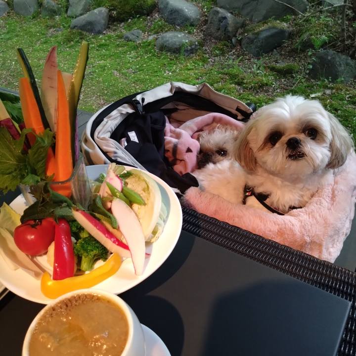 D38642ee 72ce 4f91 bf1e e9a55df44b61 1748216672868