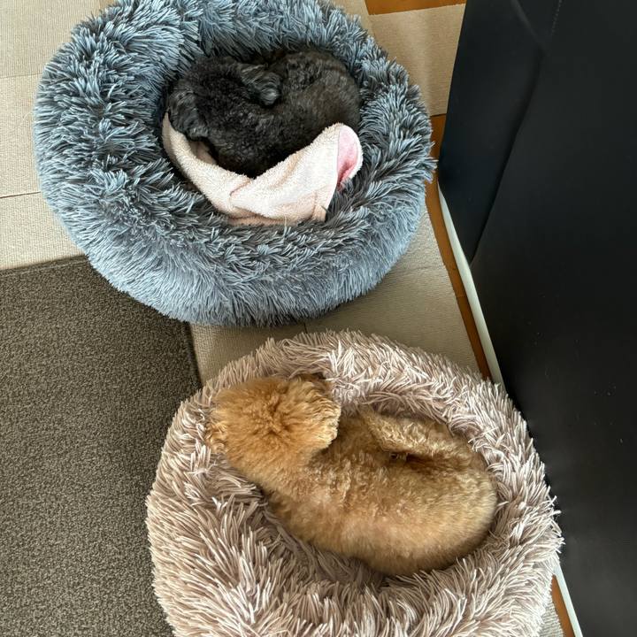 D3869876 00eb 4a03 bebb 13aad5159869 1710154085499