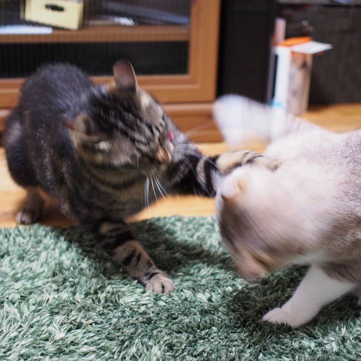 D386d86f a7cd 4ab6 b506 8f5ddcae42b2 1594821142743