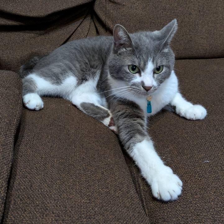 D386e8d2 aa6e 4598 9ed2 2ed609733ae2 1725629553998