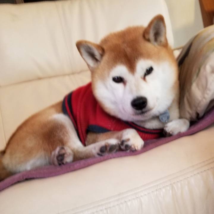 D38710a6 aede 432d 866b 2a86c2b4b4a6 1607123811316