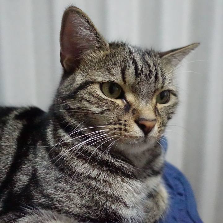 D38722b2 e73f 4cd7 9171 0034ff660dea 1529240753027