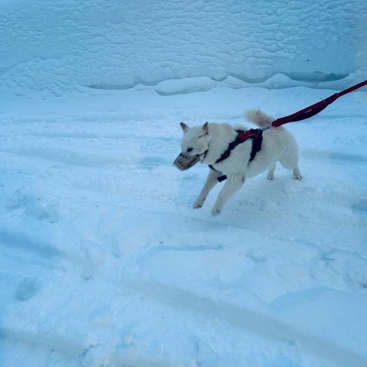 D3874a15 ee50 4b52 a109 573507bc72bf 1706577617722