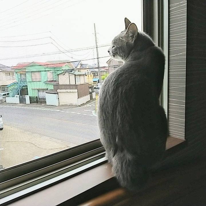 D3874e67 f857 44b6 88a9 69ed809a7bcd 1623454138385