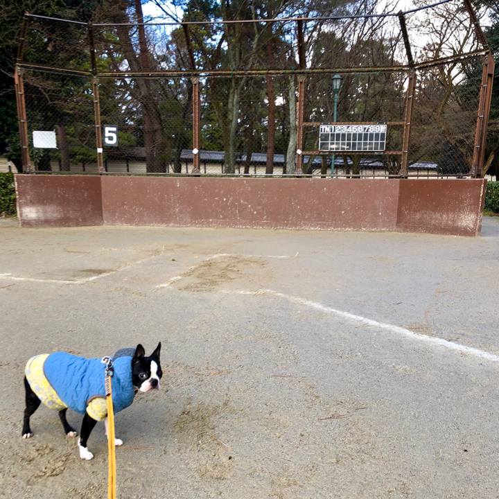 D3875464 119c 4abc 80bf 5ad6944b5d67 1515632799635