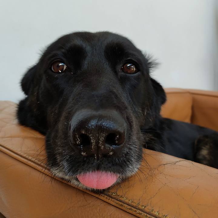 D387671b 96ec 454f a60b 3464751593a9 1647232940959