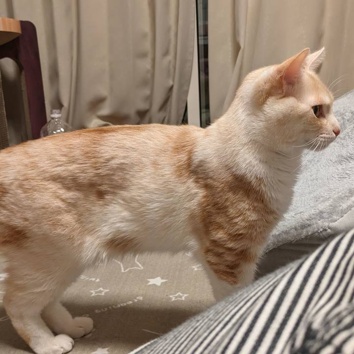 D38789df a0e4 4259 ae2b d7eea14324d9 1705984795960