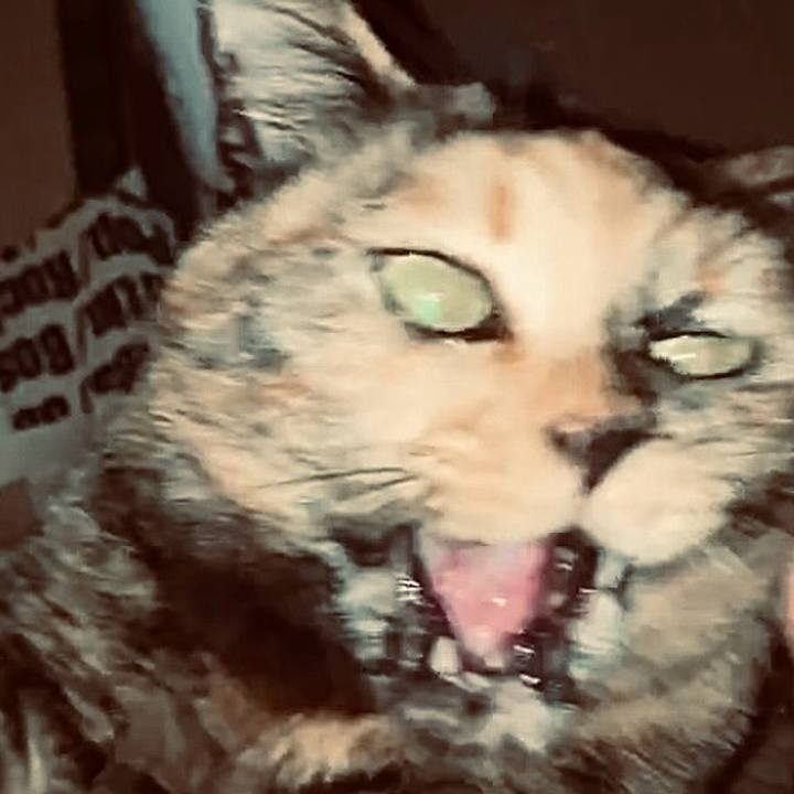 D38798a6 2d4e 4a7a b5ef a8ece201722b 1734255097539