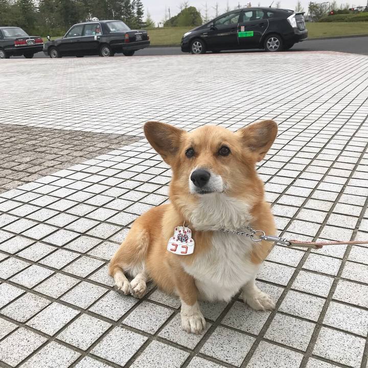 D387d2c9 c510 4d40 b920 947291c1afcb 1523755294717