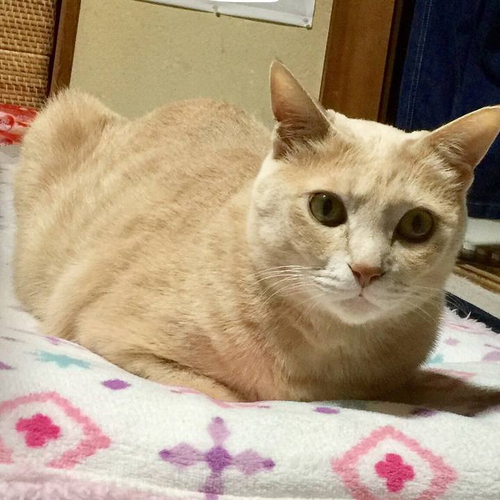 D387dce7 9731 4139 89f2 53dabb1f40dc 1525781722823