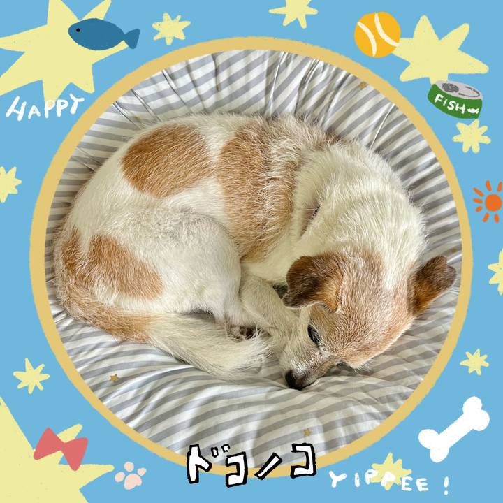 D387eabf 8856 4f82 b645 e22abda96d36 1721166355955