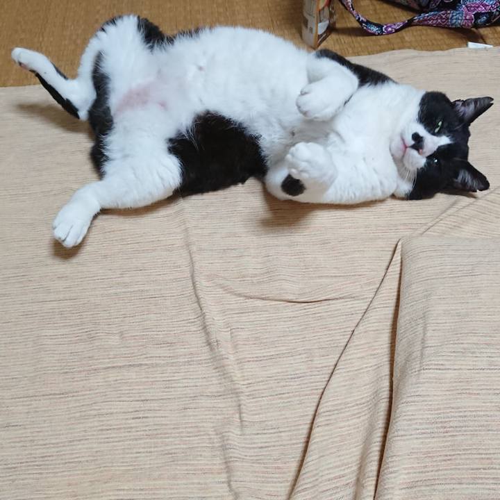 D3880eb1 3d9f 4195 b2a5 aad266980194 1593687353709