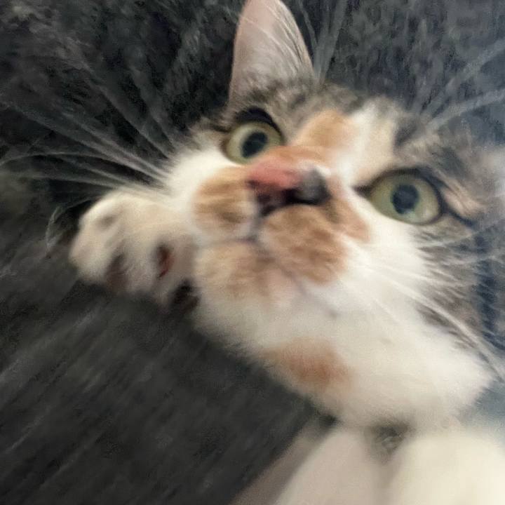 D388222e b966 4340 a90b a5ad5ca6cac2 1768204945549