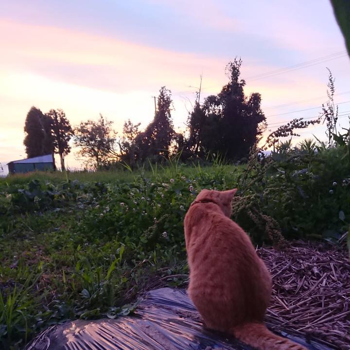 D38859a5 c76d 4b36 8ee2 2095ff1ac879 1564567915321