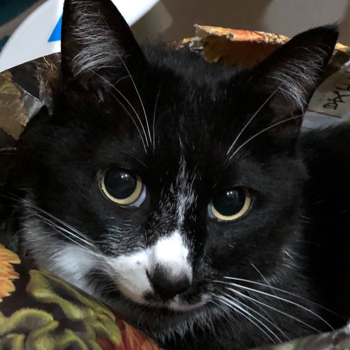 D3885d55 40c5 4cd2 aed9 aa99c0d12248 1625281909209