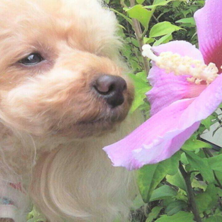 D3885ffe 8c25 421c 9724 8e1a4128905b 1533008038189