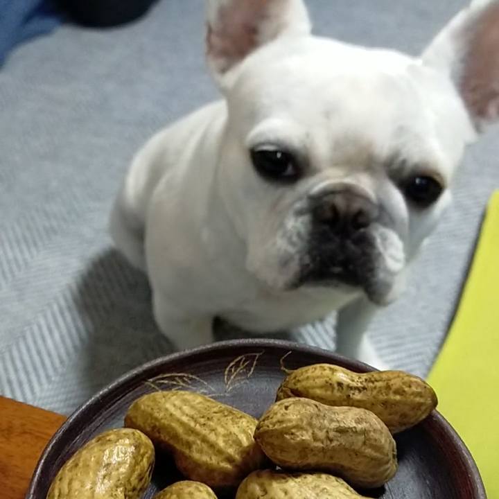 D388768a 1977 4a2c ba6b 362d90746e38 1665873656175