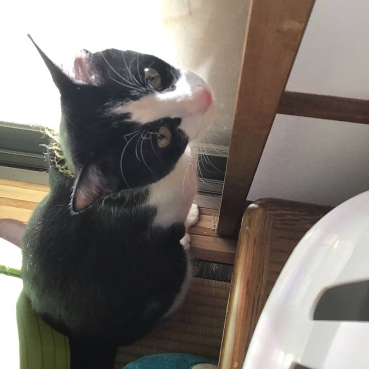 D3889183 9a8f 476f 9ee9 9e702fcfdbe1 1648804552484