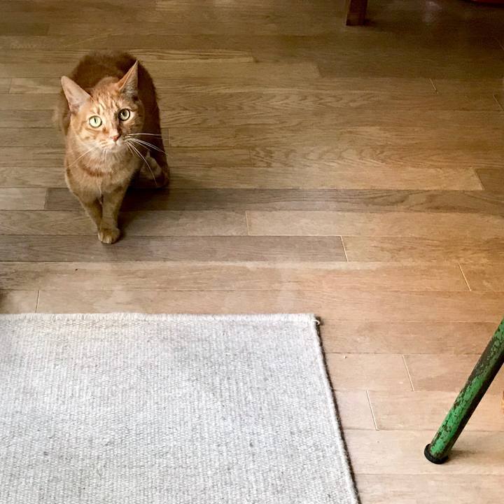 D388d8a1 475b 44f1 993e ac8d6b6b211f 1554438227859