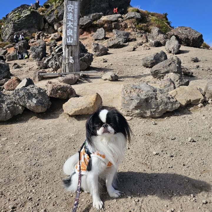 D3890bc6 204c 4b7e a18c b1fbe1f25191 1728991911353