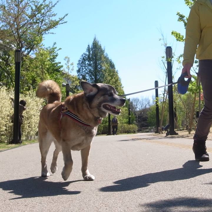 D389691b ac90 4dfa b65c c2e564aea29f 1605143854514