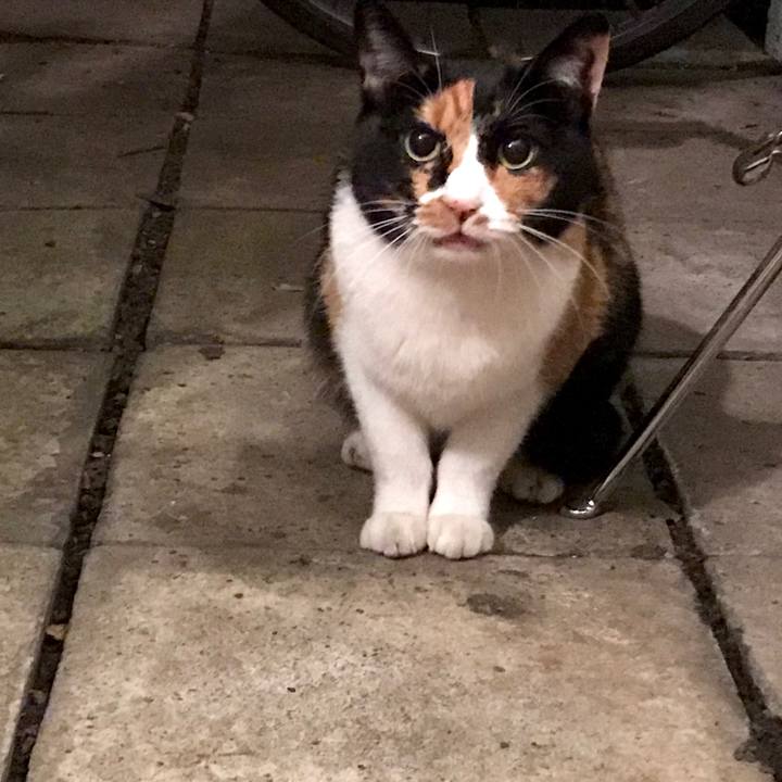 D389899c a3a3 4e6d 89e9 57c408ea428a 1538529183734