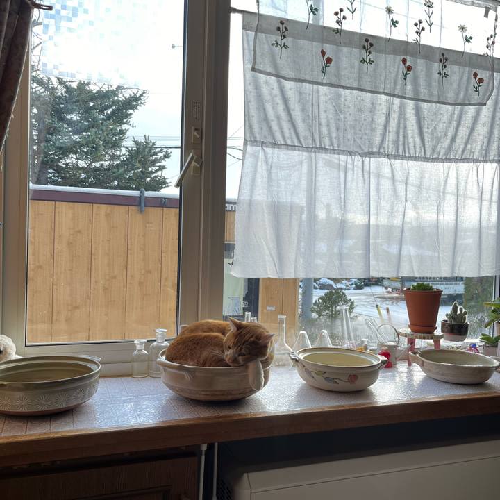 D3899dea 876a 42cc afc9 38fabc464690 1700969152160