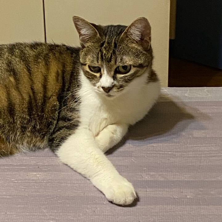 D389b8cb 1687 45ba 82e1 f875681e6836 1626778046376