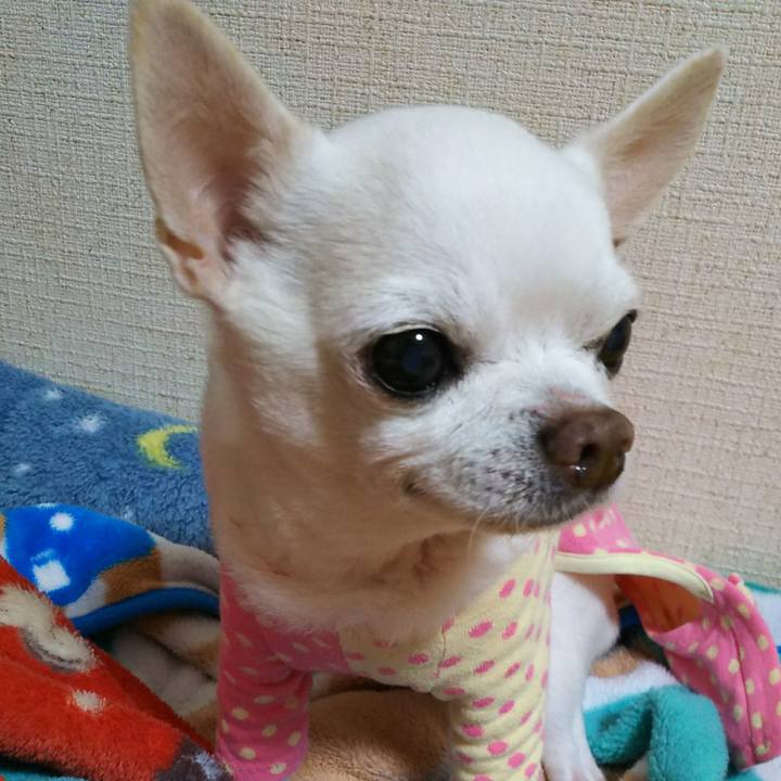 D389c6f9 966e 4756 a7db eeee47d45d1b 1519765894934