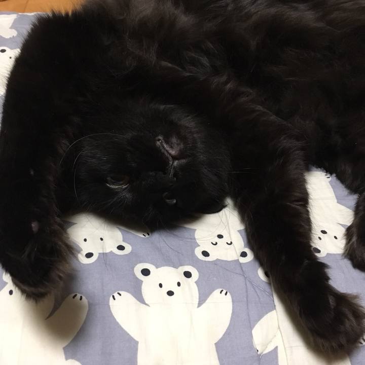 D389f9c9 c686 4953 af91 71a9cc108733 1520864255795